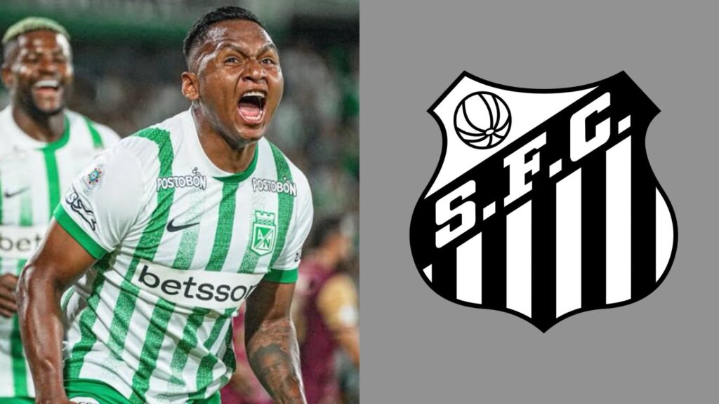 Capas para matérias (68)