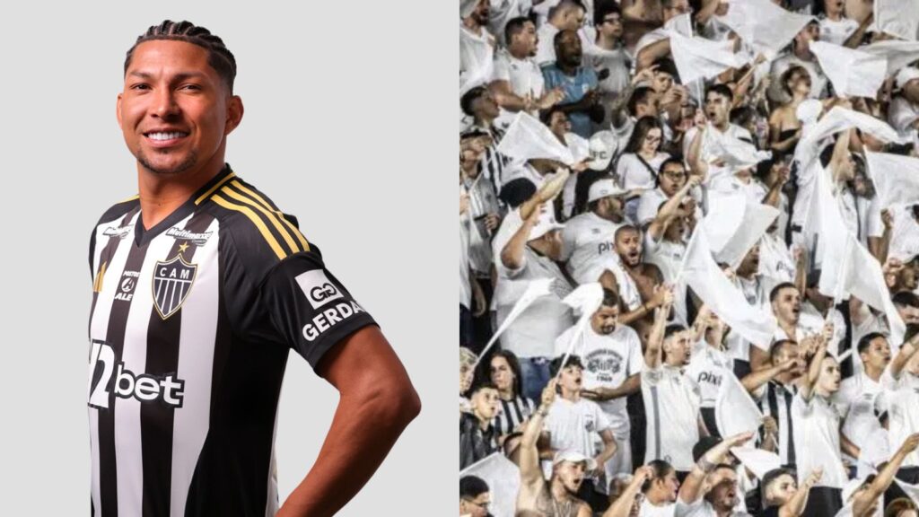 Capas para matérias (73)