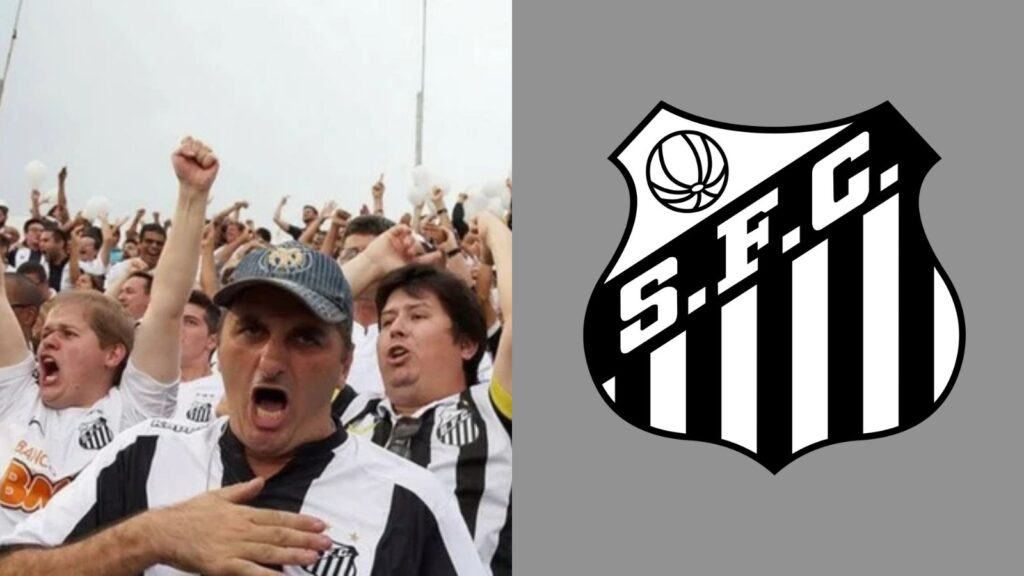 Capas para matérias (80)