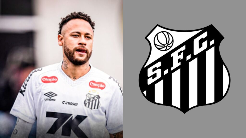 Capas para matérias (80)