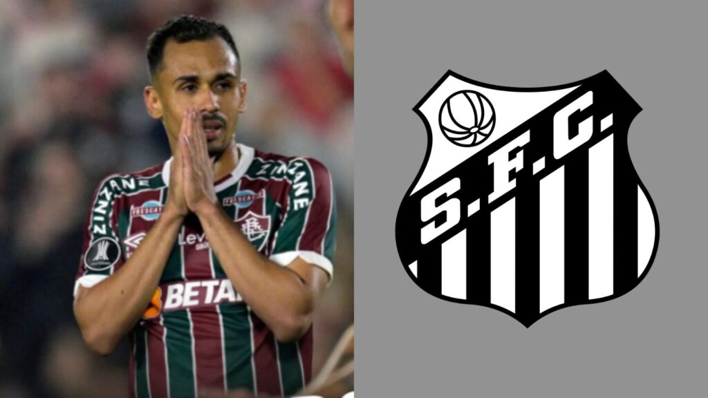 Capas para matérias (82)