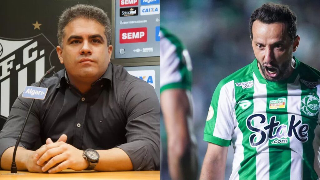 Capas para matérias (83)