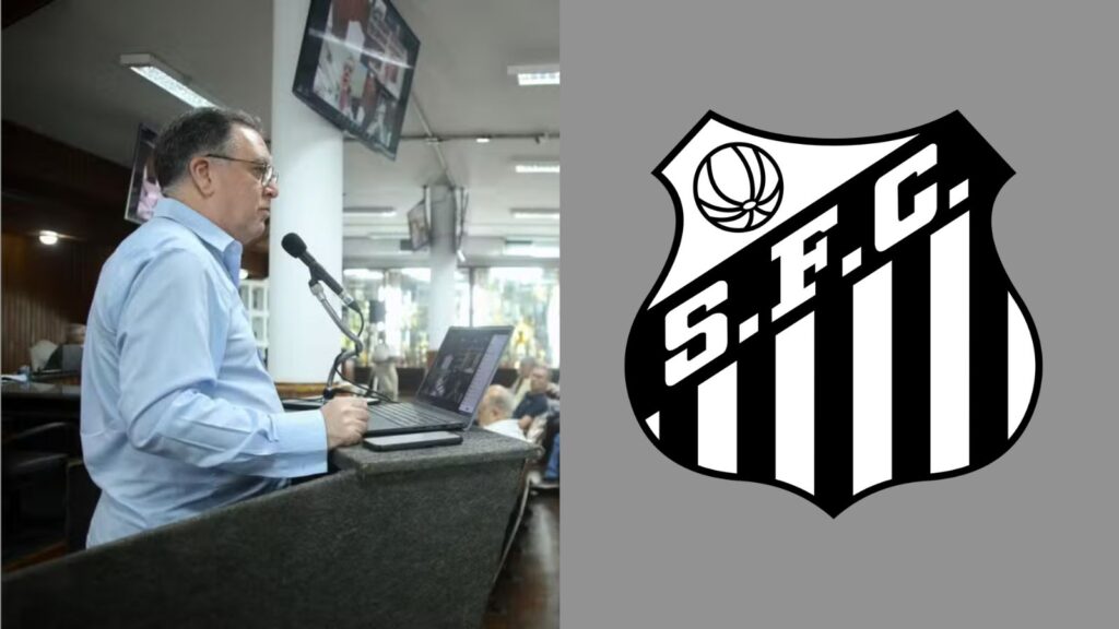 Capas para matérias (88)