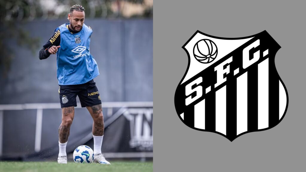 Capas para matérias (9)