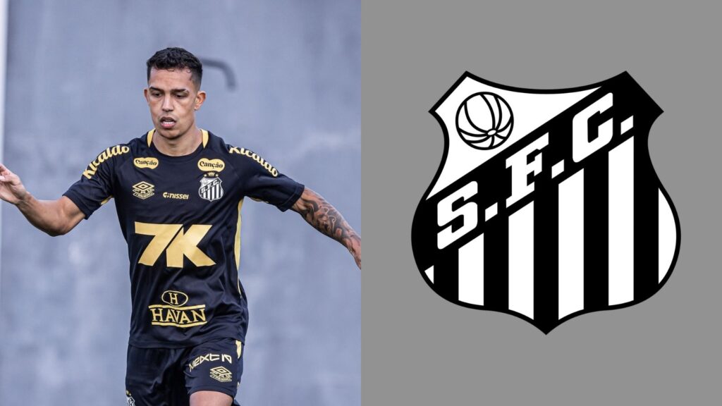 Capas para matérias (97)