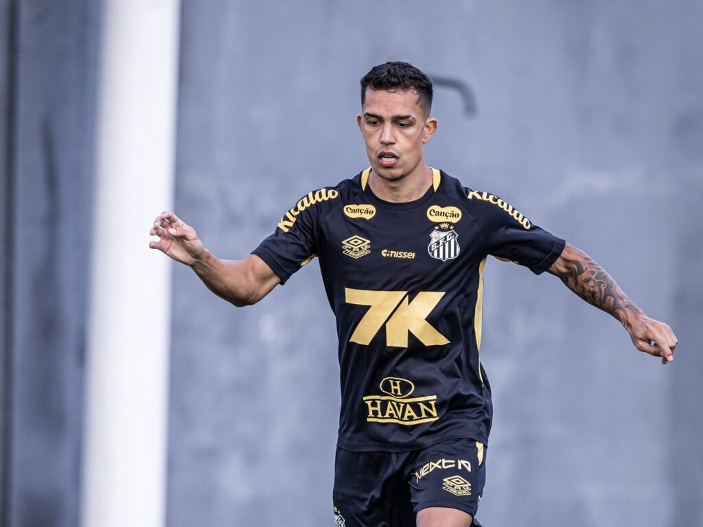 Foto: Raul Baretta / Santos FC