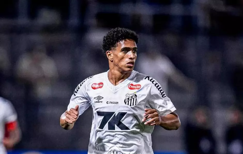 Foto: Raul Baretta / Santos FC