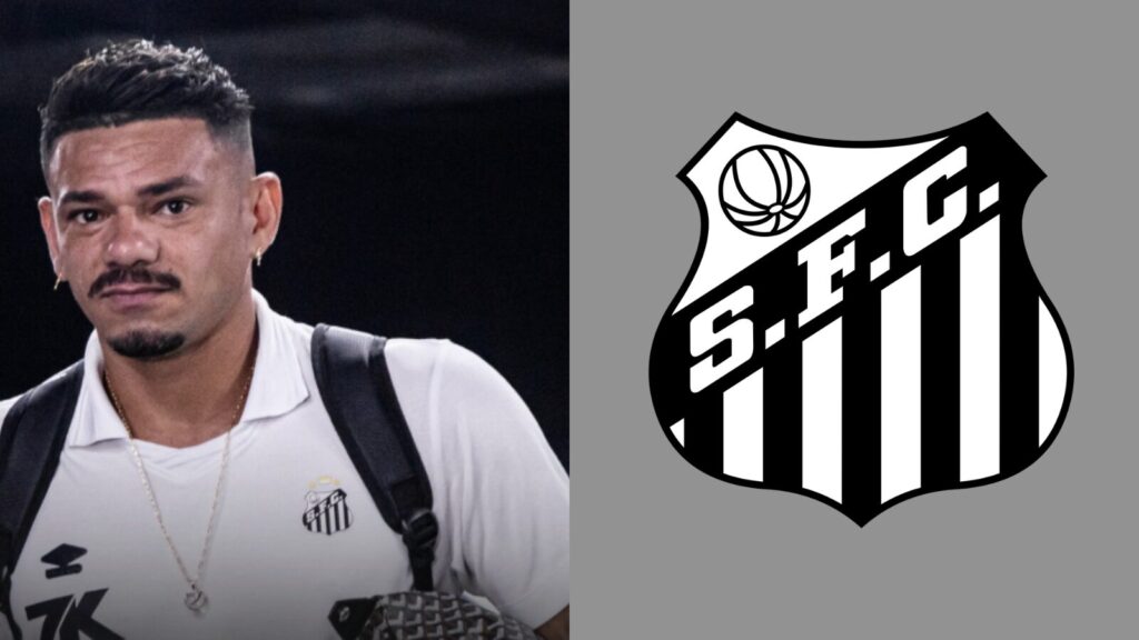 Capas para matérias (1)