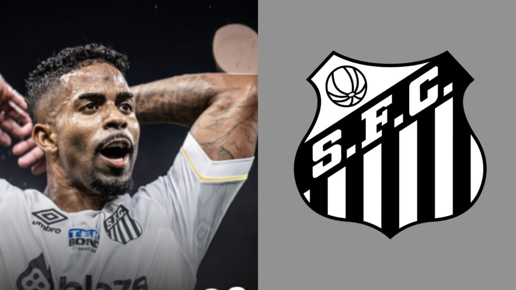 Capas para matérias (1)