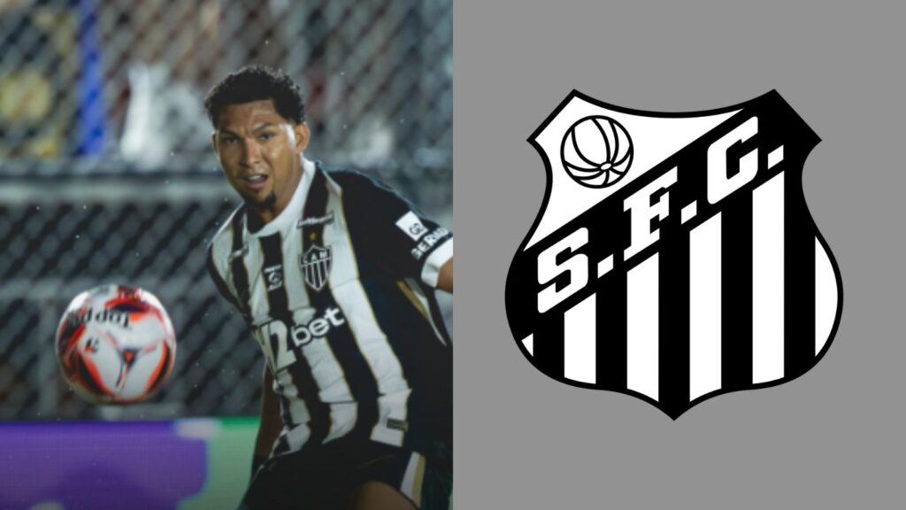 Capas para matérias (1)