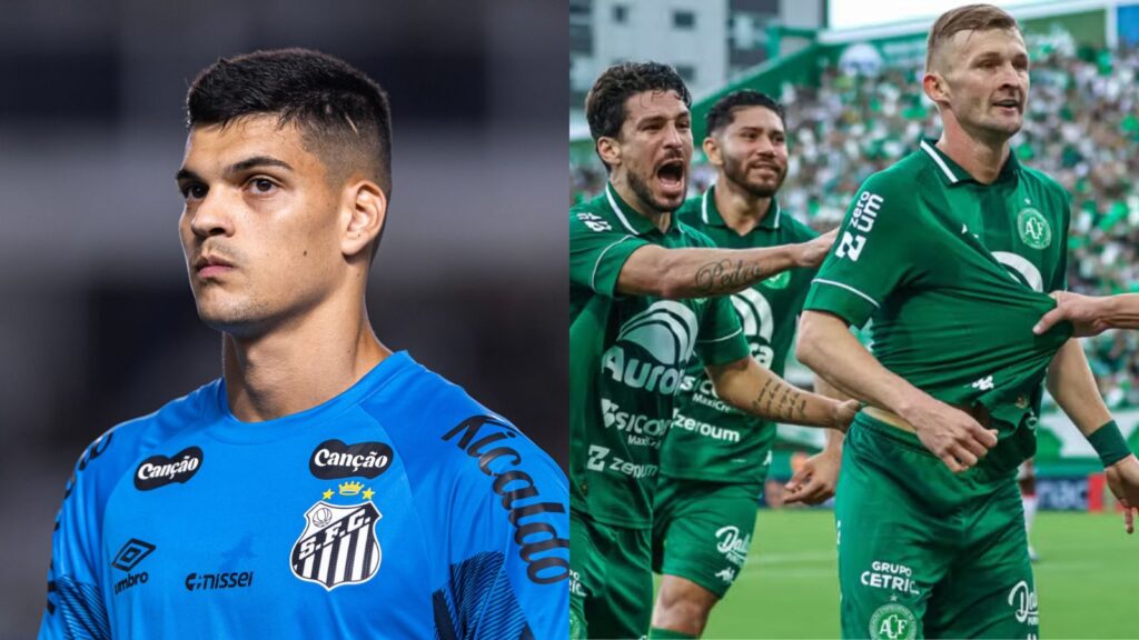 Capas para matérias (10)