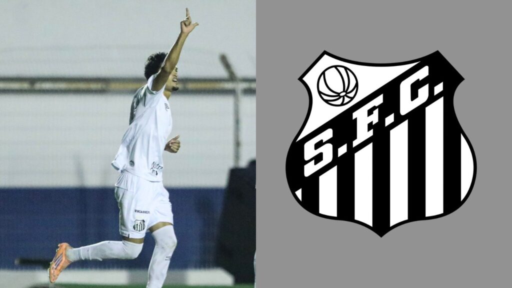 Capas para matérias (100)