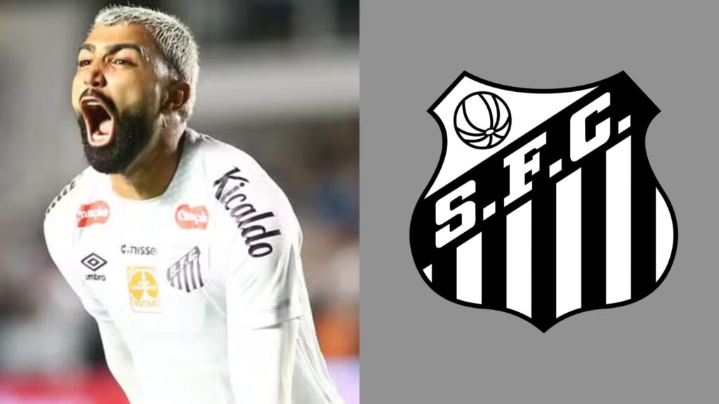 Capas para matérias (12)