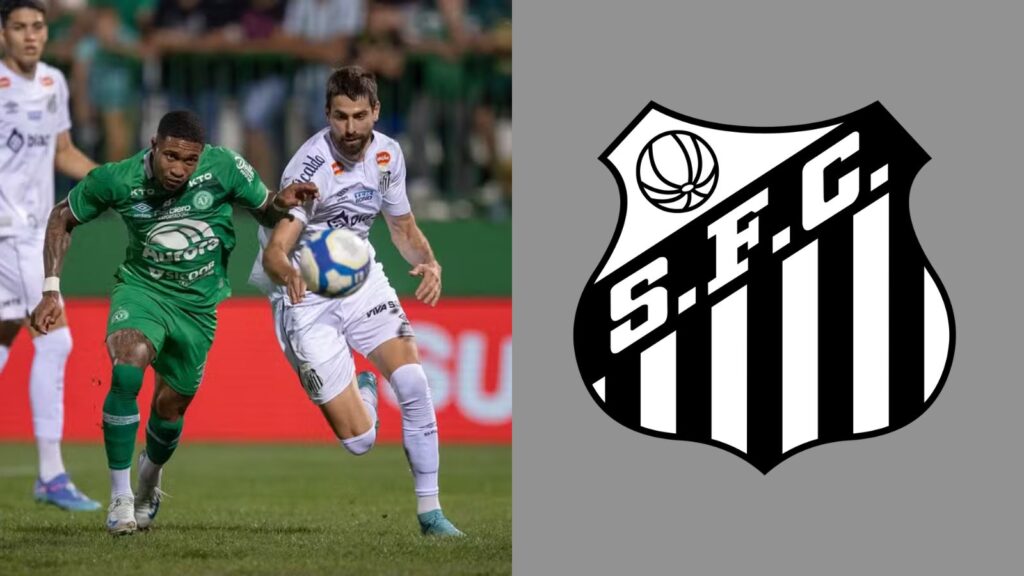 Capas para matérias (15)