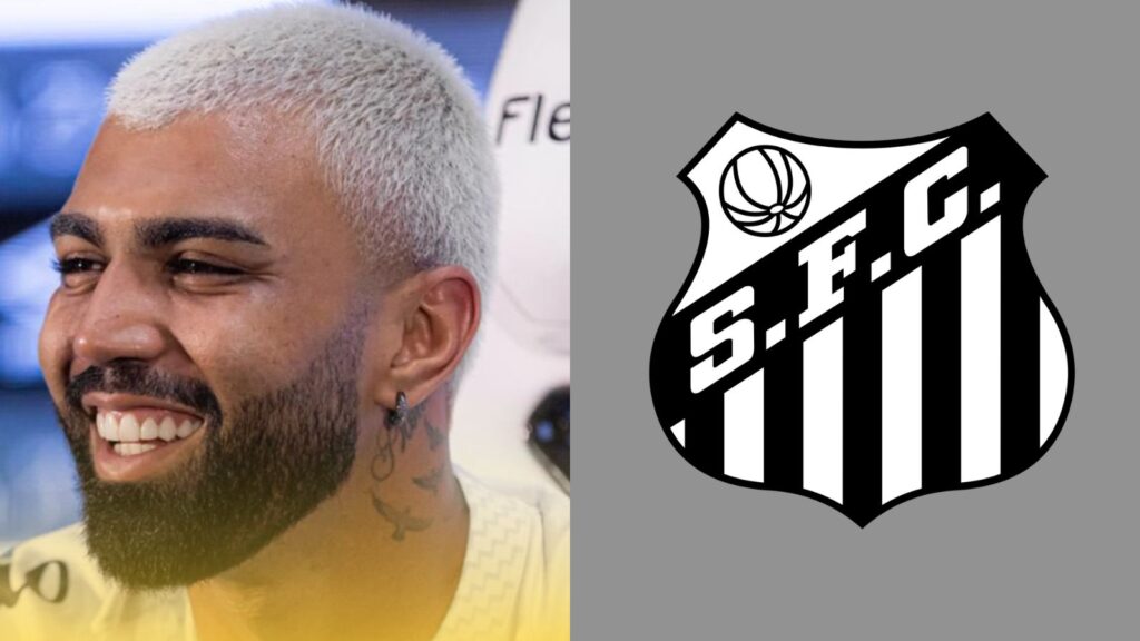 Capas para matérias (15)