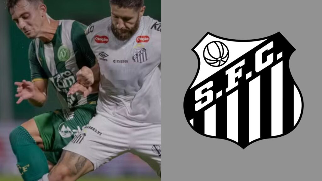 Capas para matérias (17)