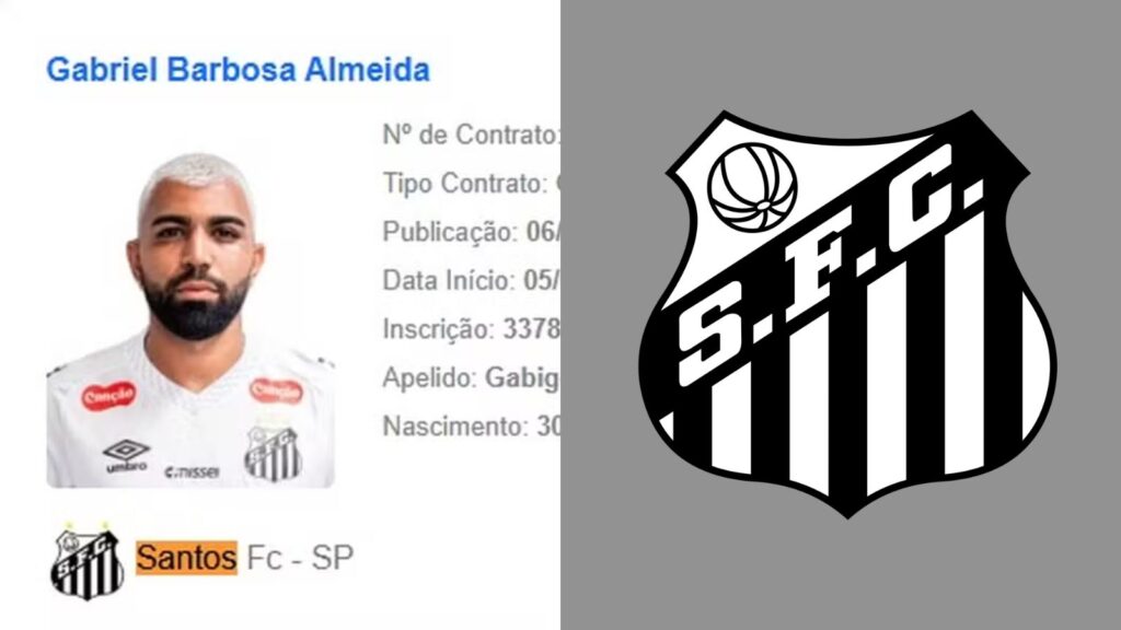 Capas para matérias (18)