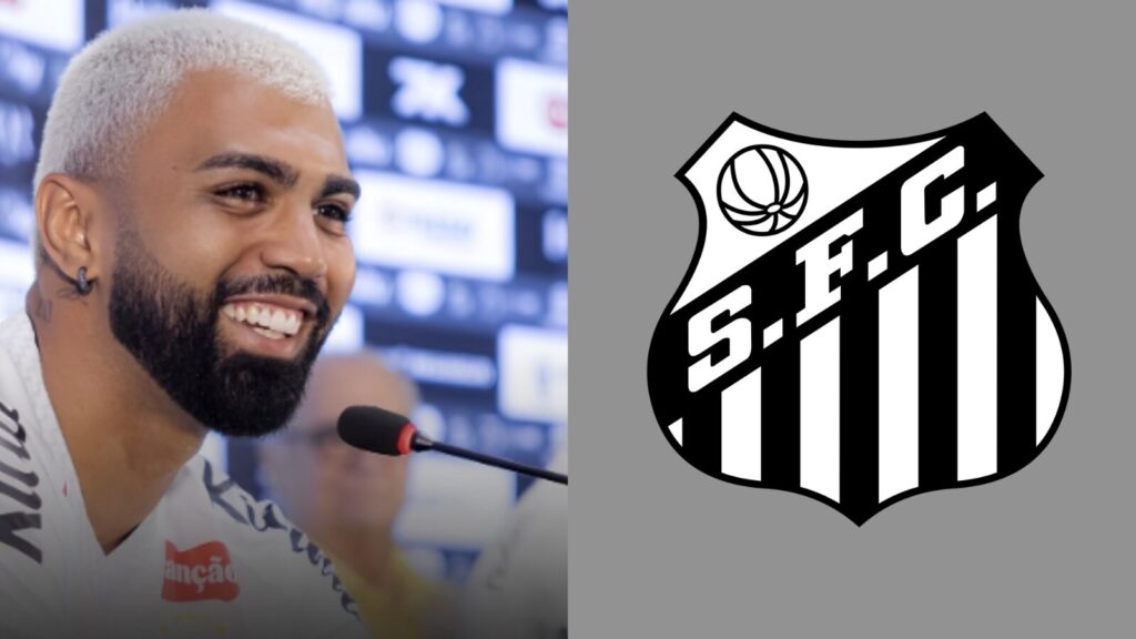 Capas para matérias