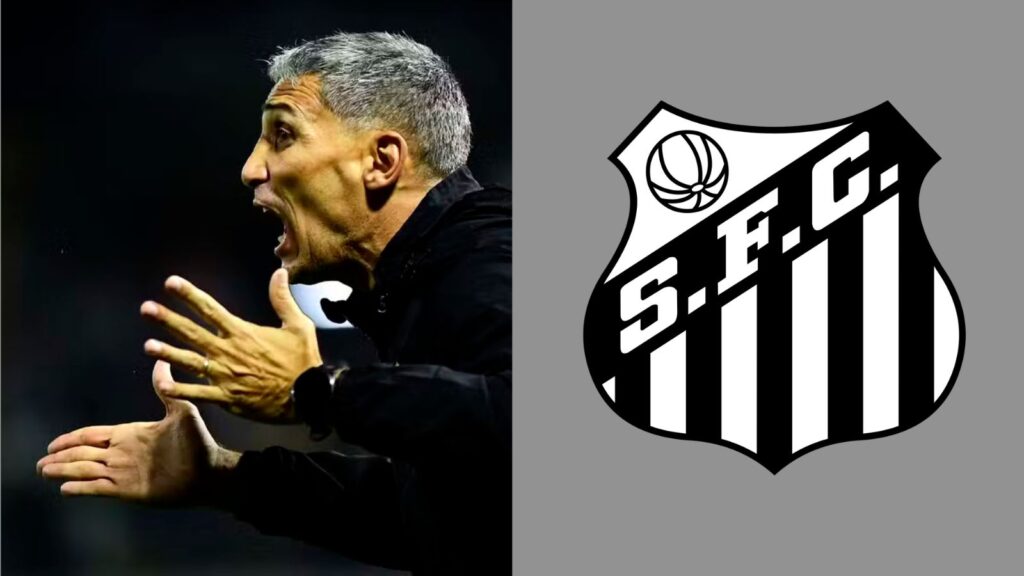 Capas para matérias (21)