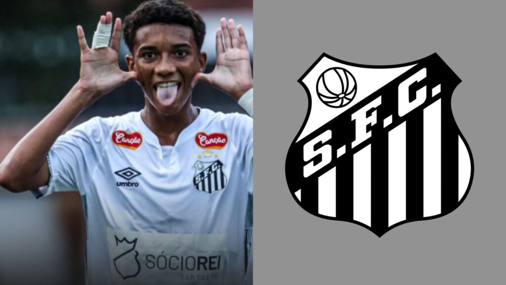 Capas para matérias (29)