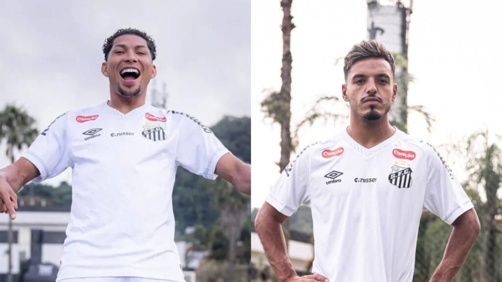 Capas para matérias (41)