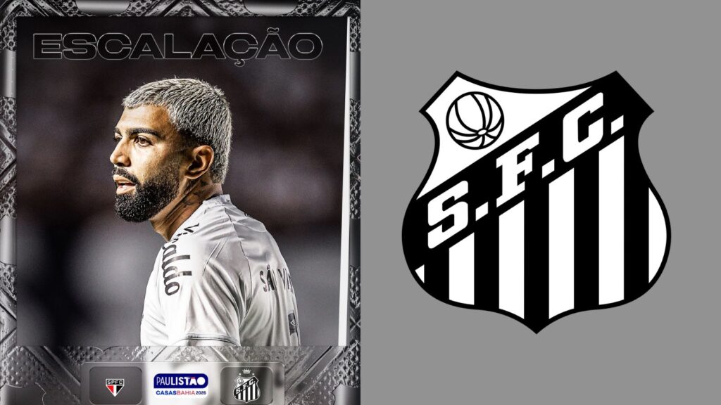 Capas para matérias (43)