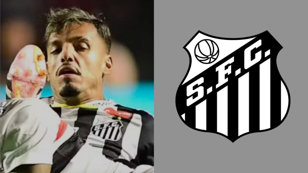 Capas para matérias (46)