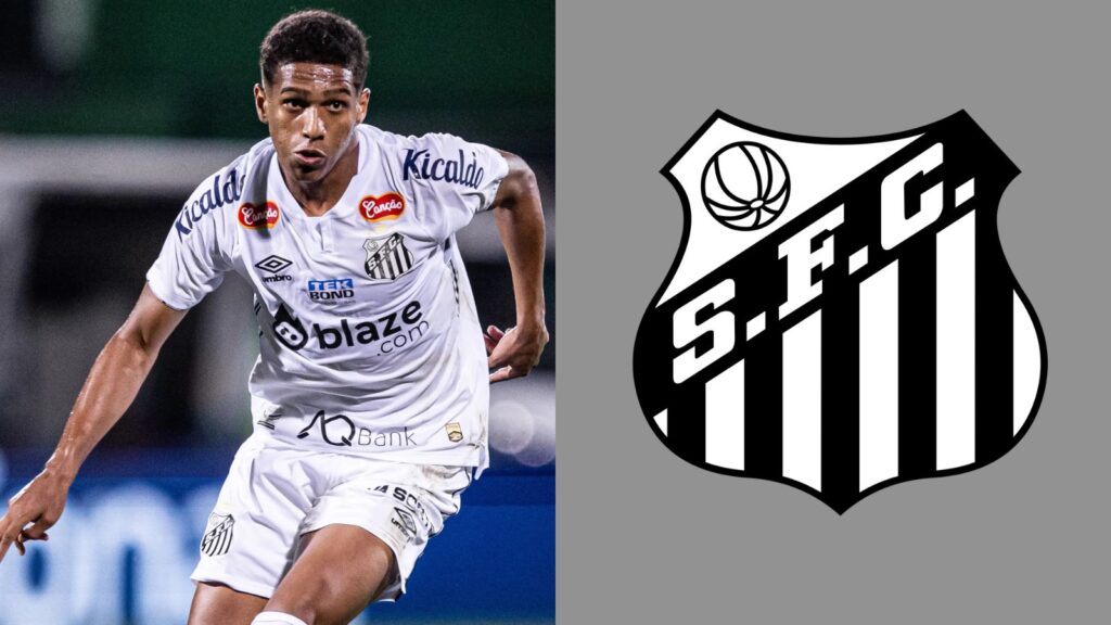 Capas para matérias (67)