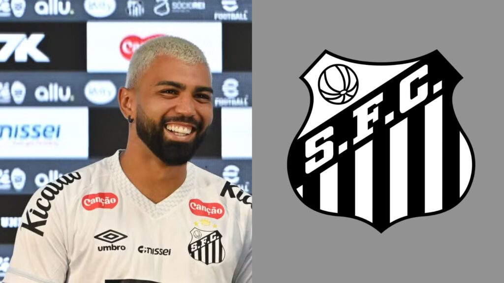 Capas para matérias (8)