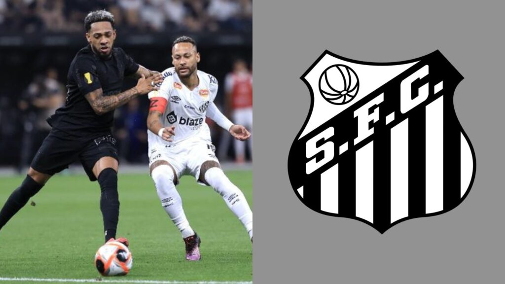 Capas para matérias (87)