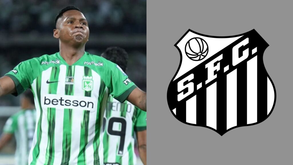 Capas para matérias (99)