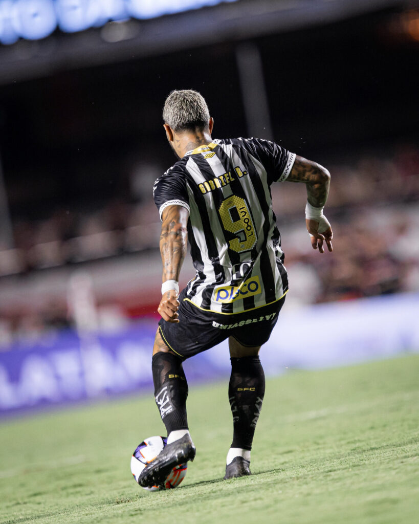 Foto: Raul Baretta / Santos FC
