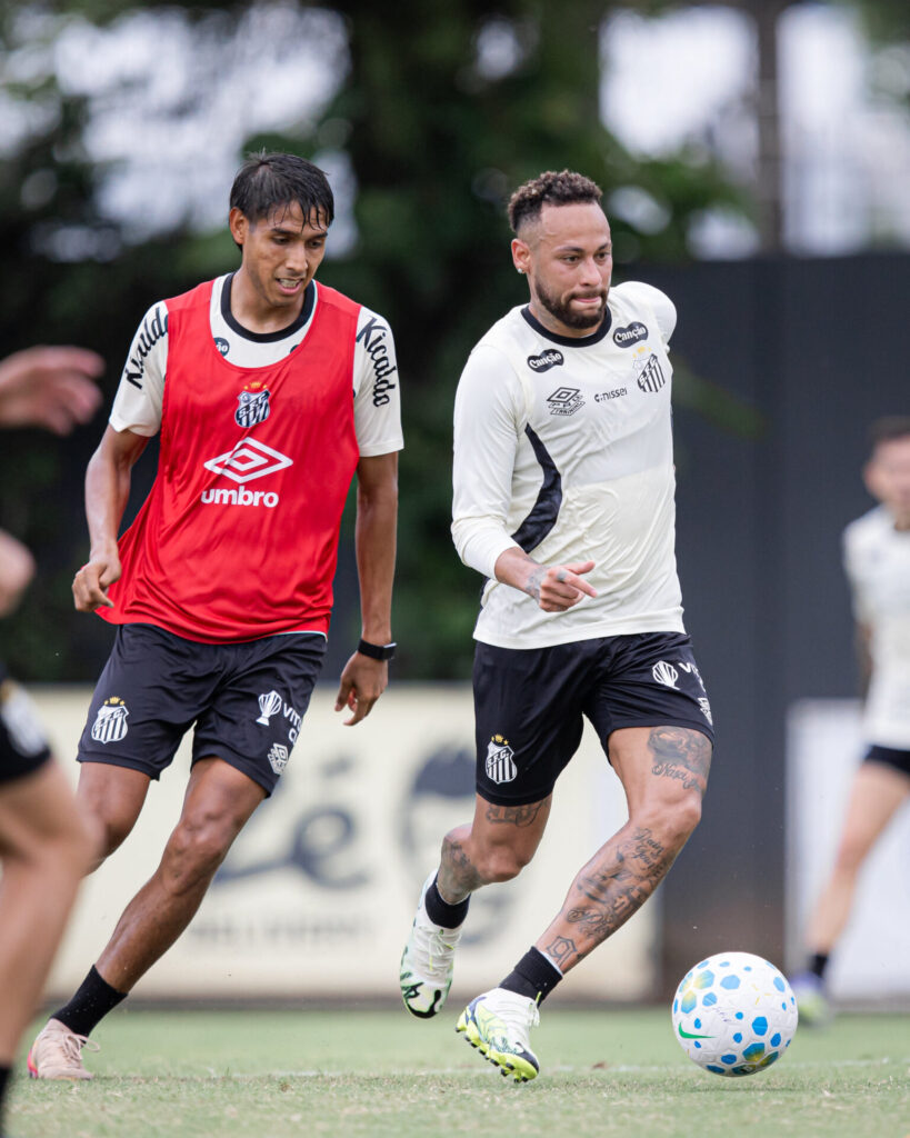 Foto: Raul Baretta / Santos FC