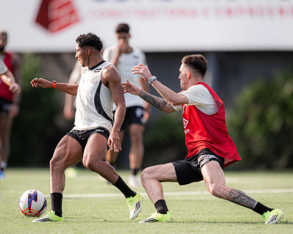 Foto: Raul Baretta/ Santos FC