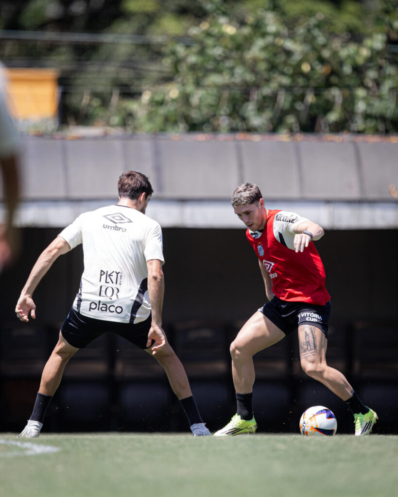 Foto: Raul Baretta/ Santos FC