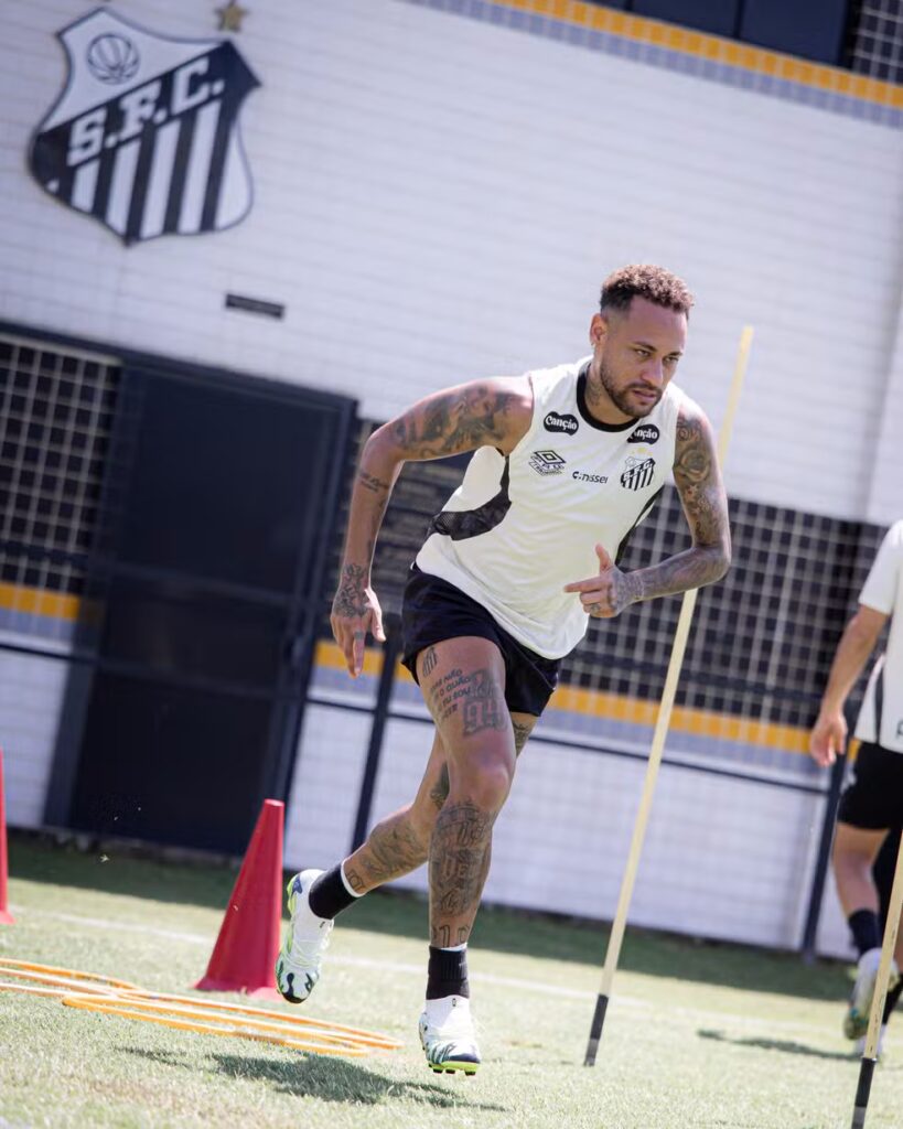 Foto: Raul Baretta/Santos FC