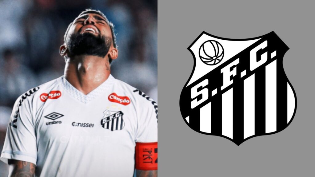 Capas para matérias (12)