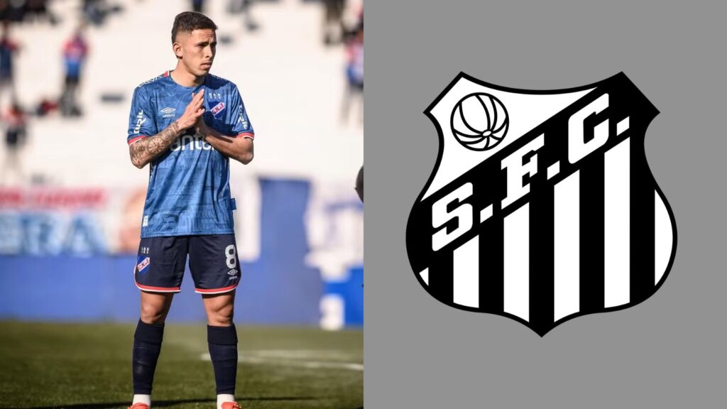 Capas para matérias (40)