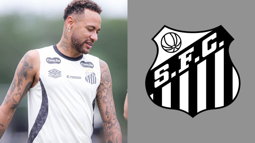 Capas para matérias (42)