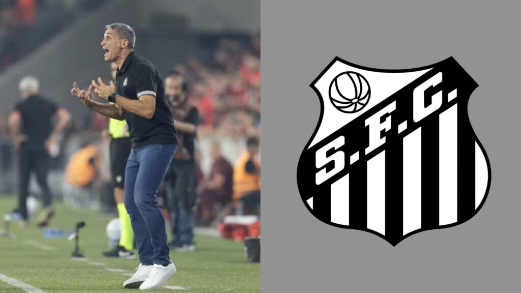 Capas para matérias (51)