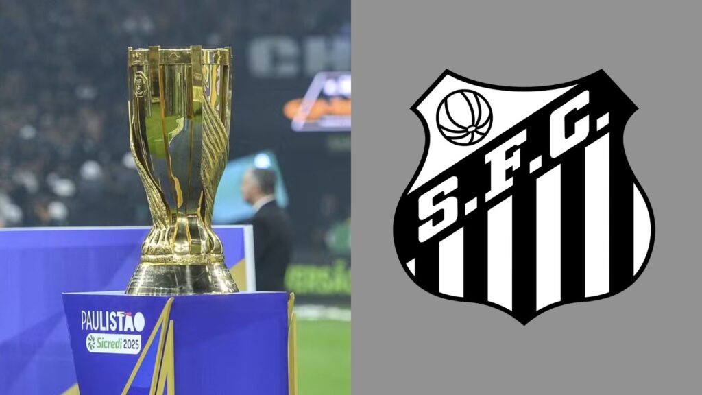 Capas para matérias (83)