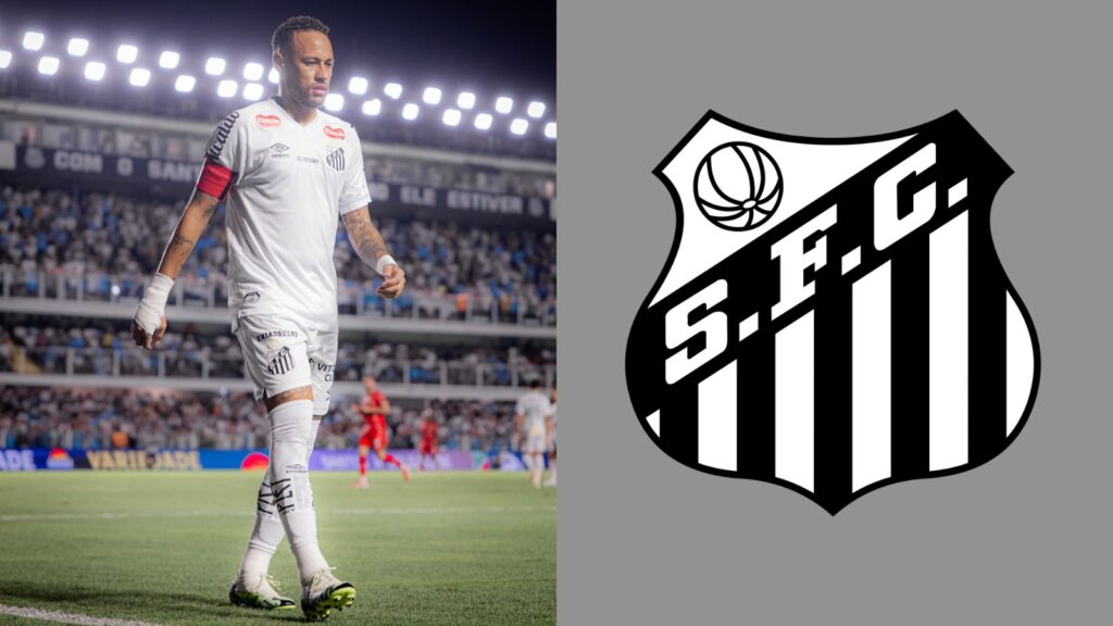 Capas para matérias (85)