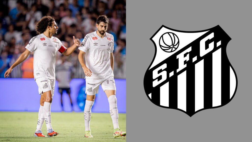 Capas para matérias (91)