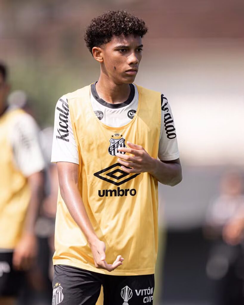 Foto: Raul Baretta/ Santos FC