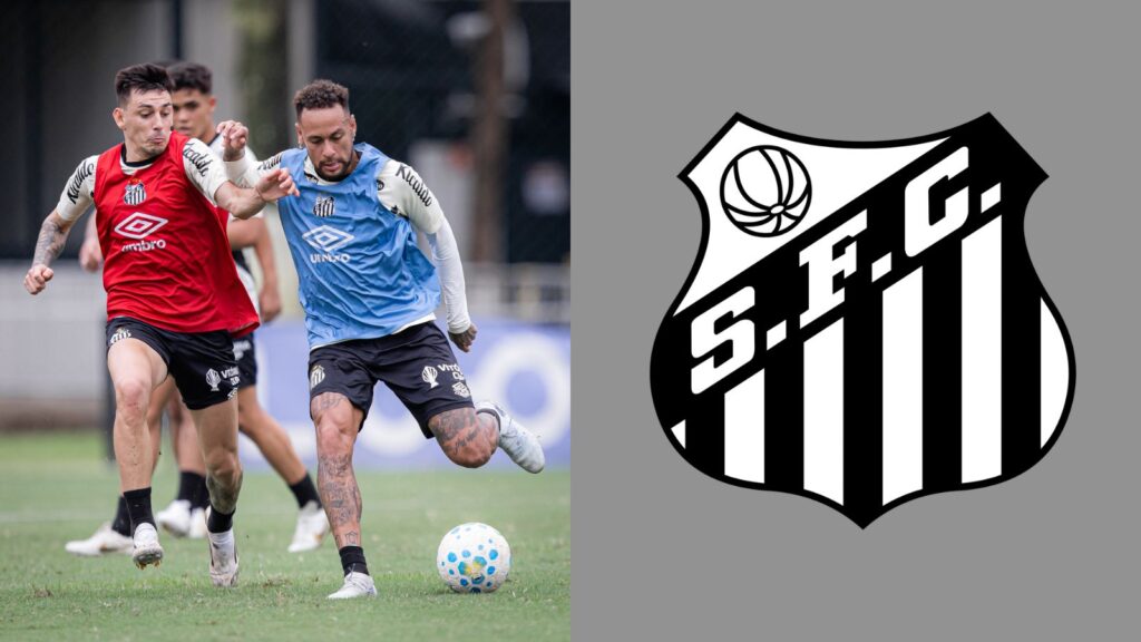 Capas para matérias (15)