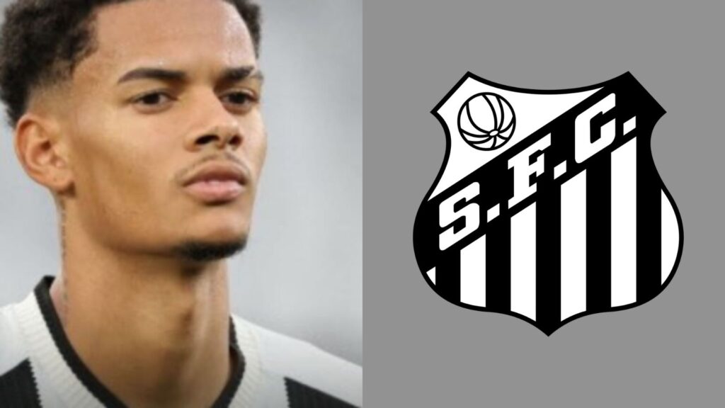 Capas para matérias (2)