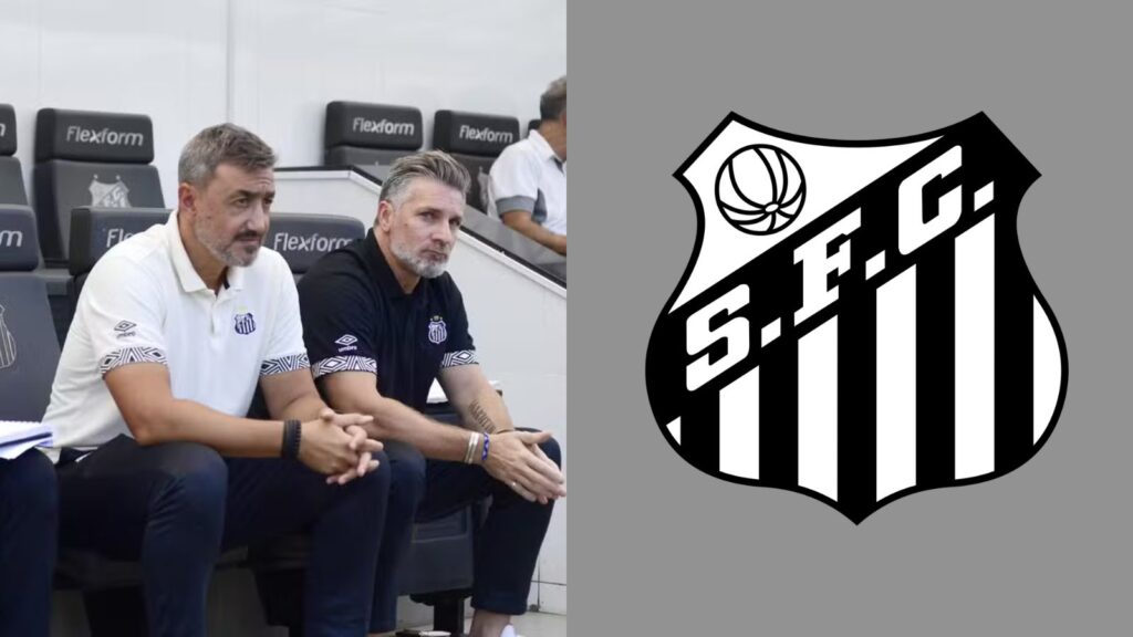 Capas para matérias (20)