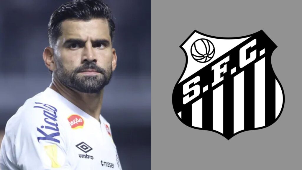 Capas para matérias (24)