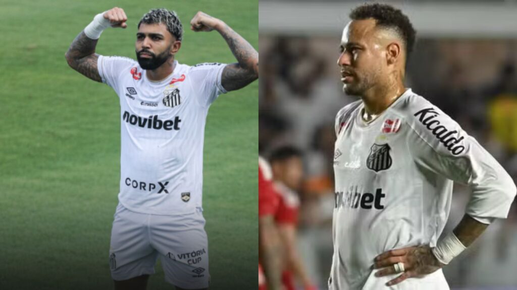 Capas para matérias (49)