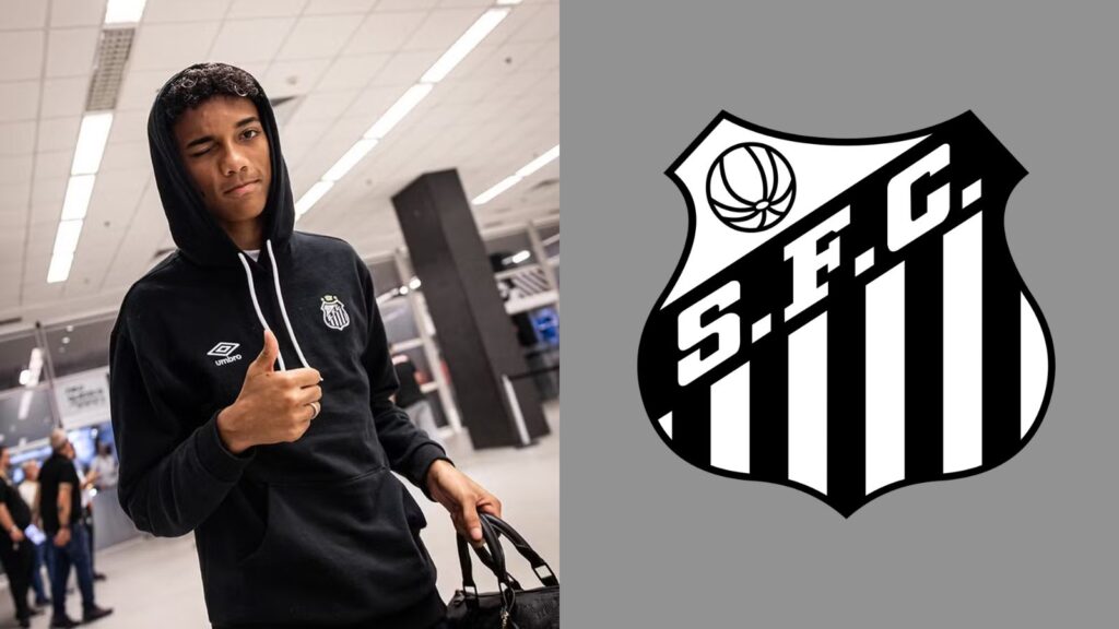 Capas para matérias (66)